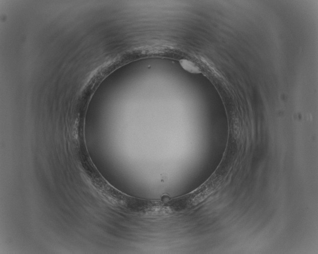 X0000070360543200606231625