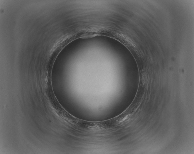 X0000070360544200606231625