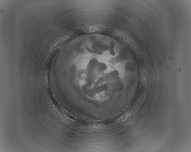 X0000070360545200606231625