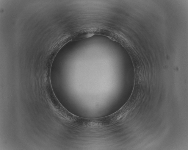 X0000070360546200606231625