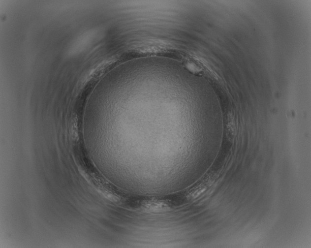 X0000070360547200606231625