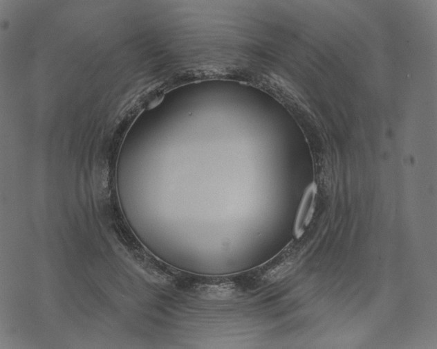 X0000070360548200606231625