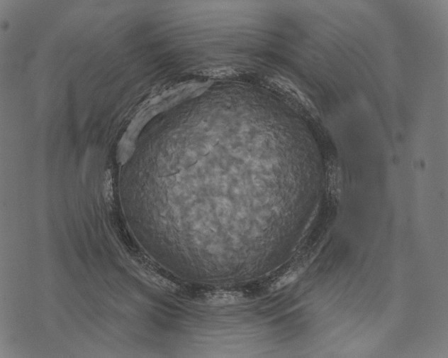 X0000070360549200606231625