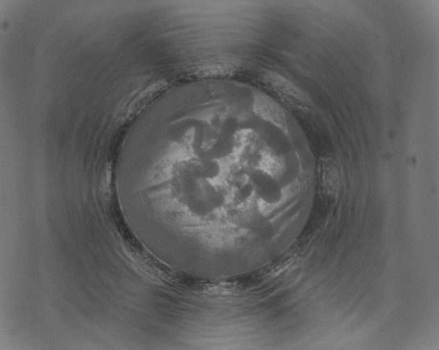 X0000070360550200606231625