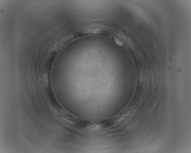 X0000070360551200606231625