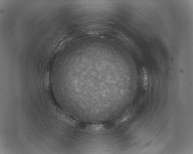 X0000070360554200606231625