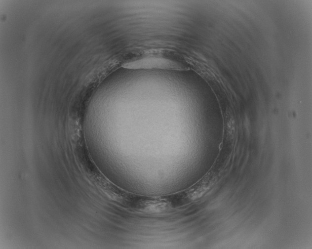 X0000070360555200606231625