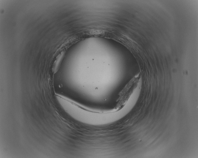 X0000070360556200606231625