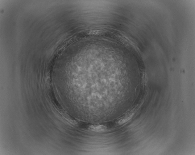 X0000070360557200606231625