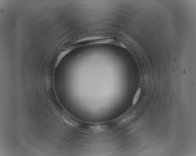 X0000070360558200606231625