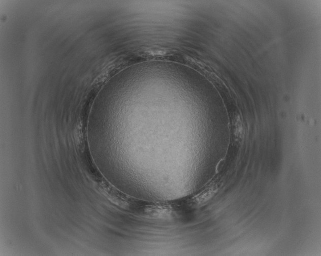 X0000070360559200606231625