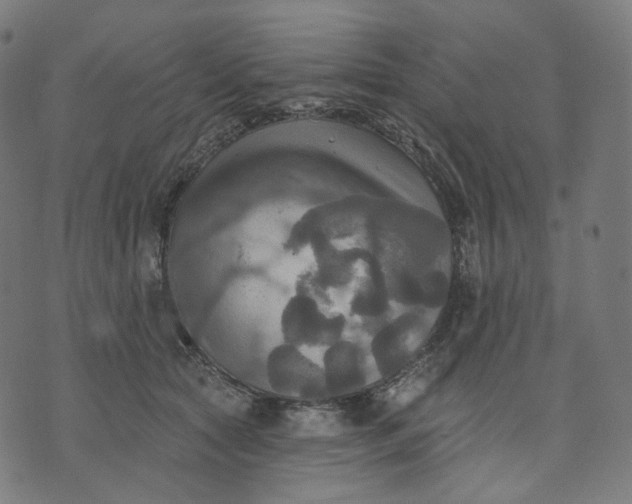 X0000070360561200606231625