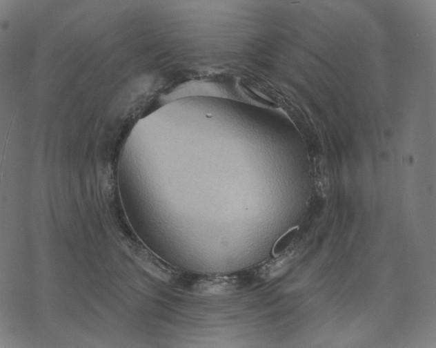 X0000070360563200606231625