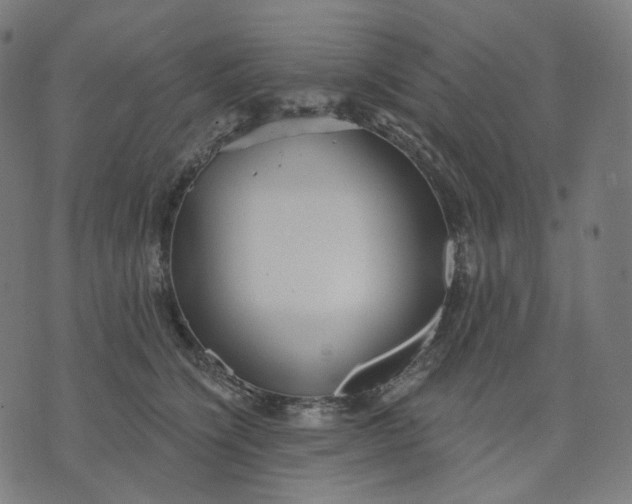 X0000070360564200606231625