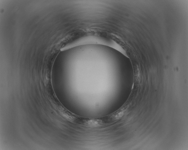 X0000070360566200606231625