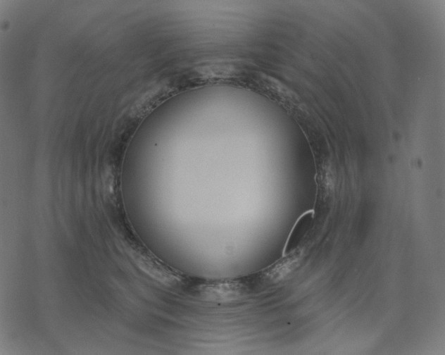 X0000070360567200606231625