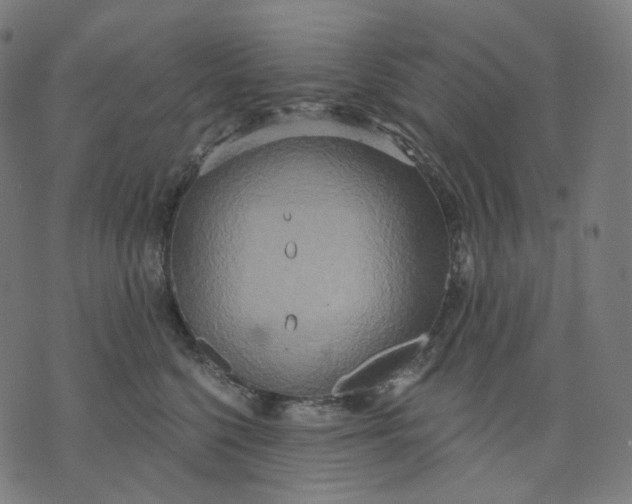 X0000070360568200606231625