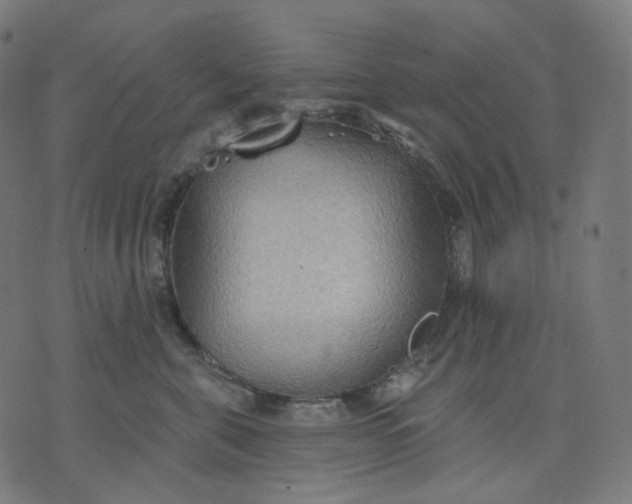 X0000070360571200606231625