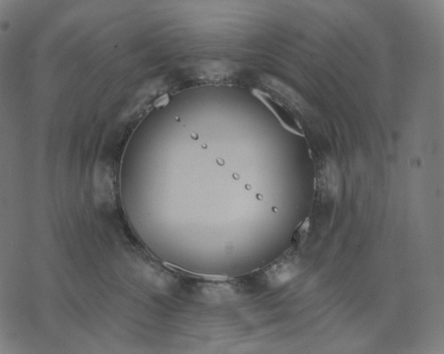 X0000070360572200606231625