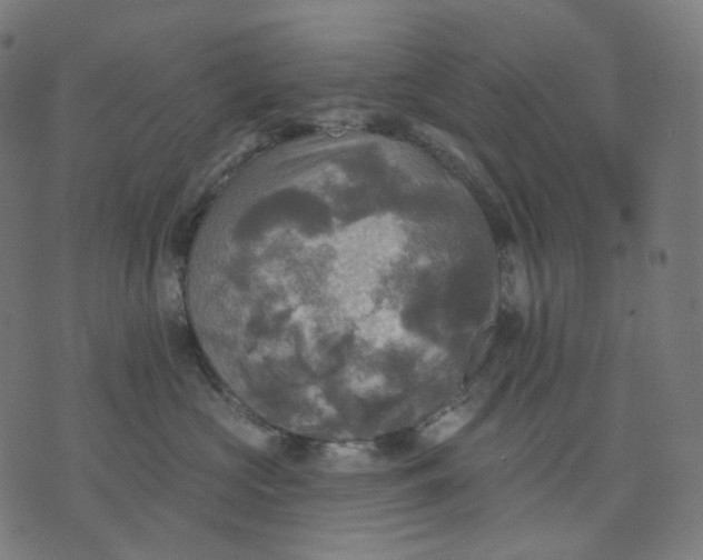 X0000070360573200606231625