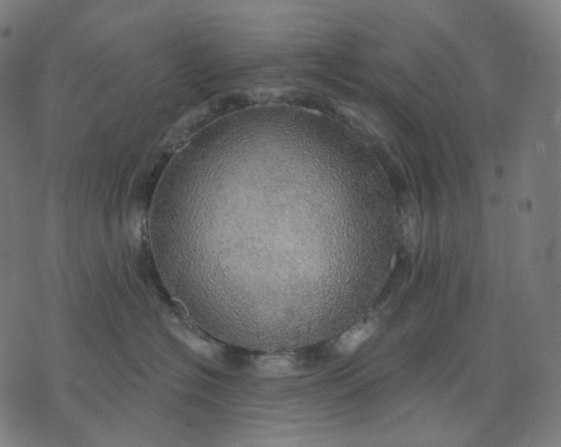 X0000070360574200606231625