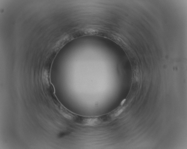 X0000070360575200606231625