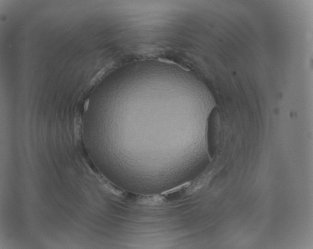 X0000070360576200606231625