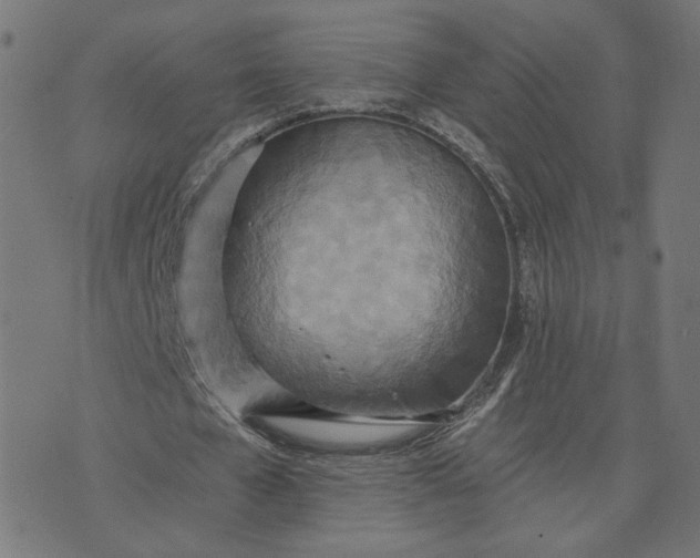 X0000070360577200606231624