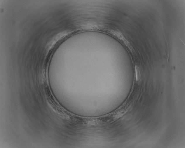 X0000070360579200606231624