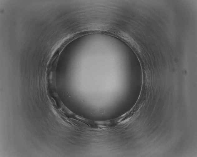 X0000070360580200606231624