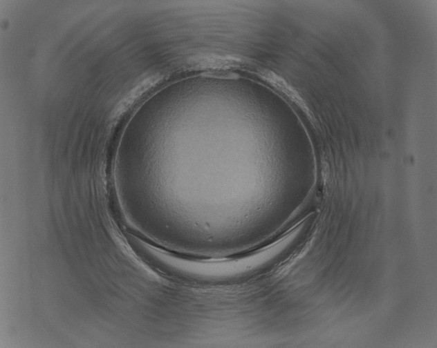 X0000070360581200606231624