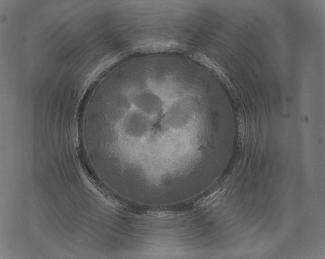 X0000070360582200606231624