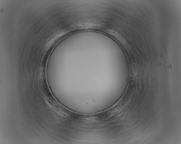 X0000070360583200606231624