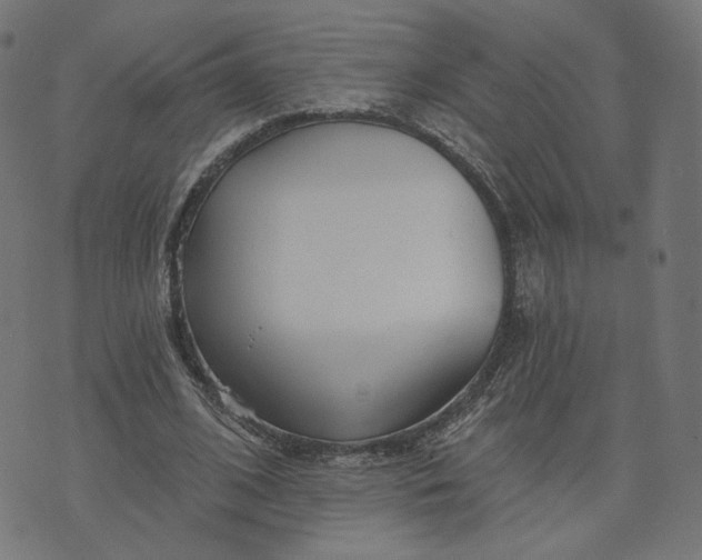 X0000070360584200606231624