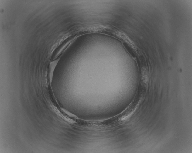 X0000070360585200606231624