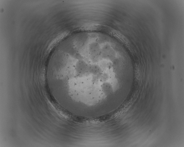 X0000070360586200606231624