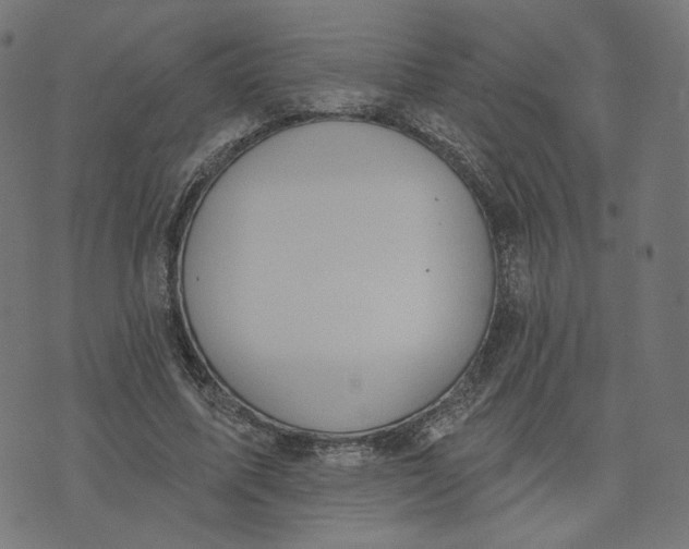 X0000070360587200606231624