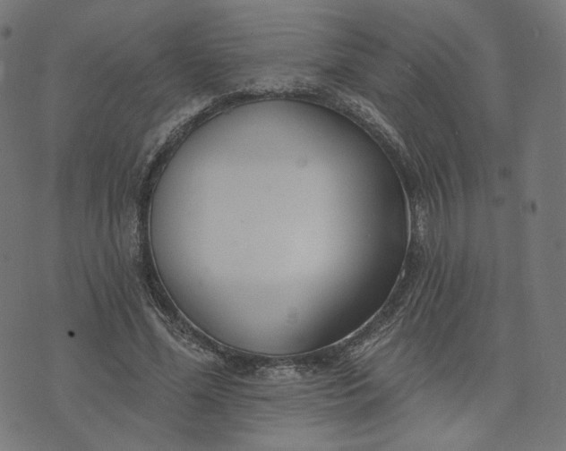 X0000070360588200606231624