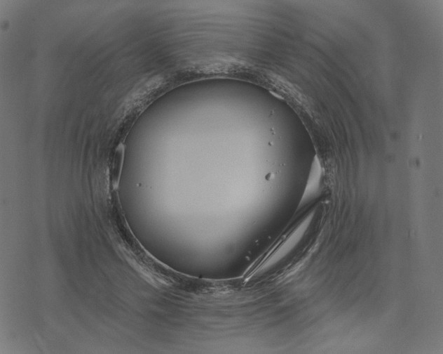 X0000070360589200606231624