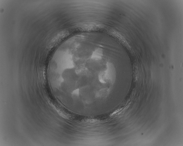 X0000070360590200606231624