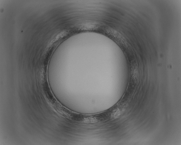 X0000070360591200606231624