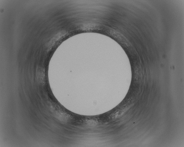 X0000070360592200606231624