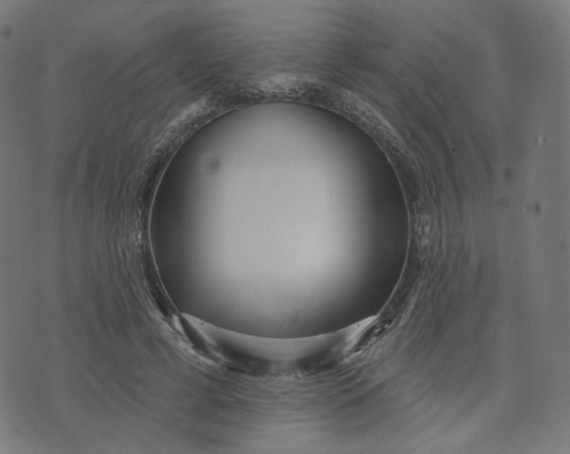 X0000070360593200606231624