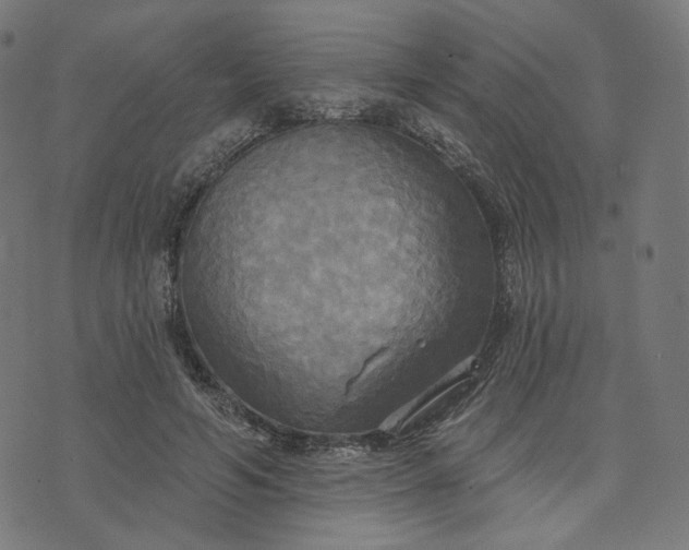 X0000070360594200606231624