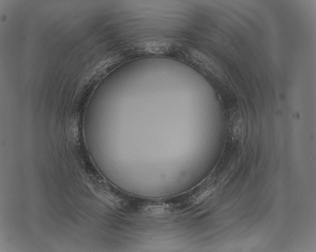 X0000070360595200606231624