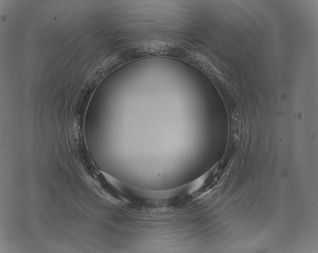 X0000070360597200606231624