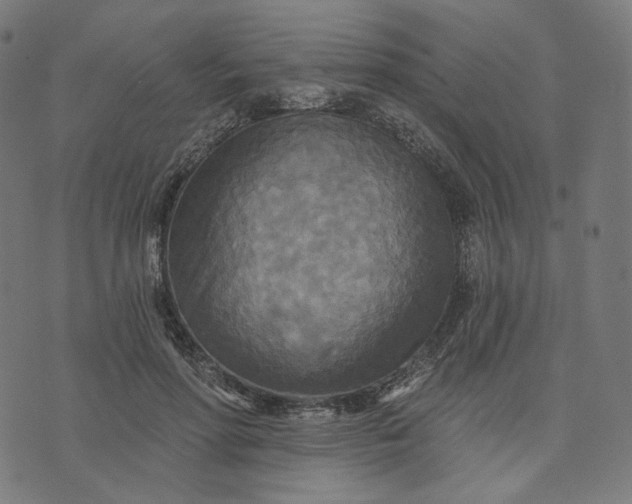 X0000070360598200606231624