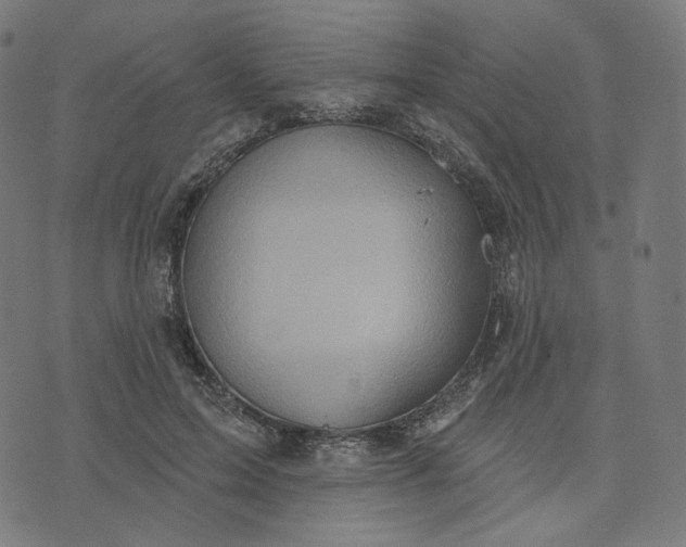 X0000070360599200606231624