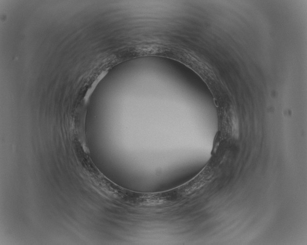 X0000070360601200606231624