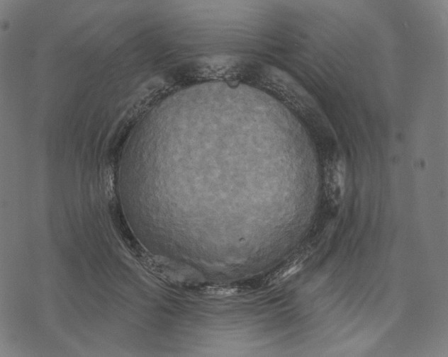 X0000070360602200606231624